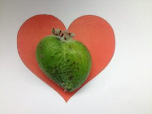 conjoined heart-shaped feijoa