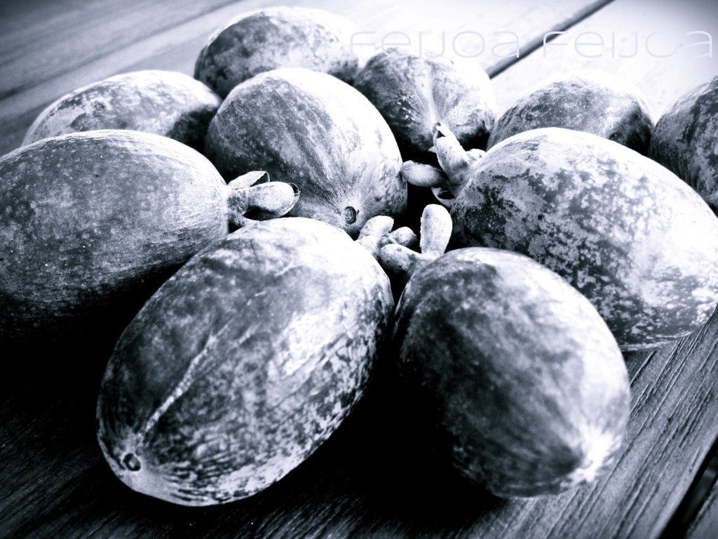 black and white image of feijoas on a board